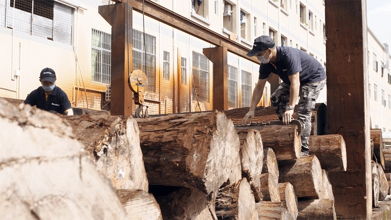 Workers organizing timber logs
