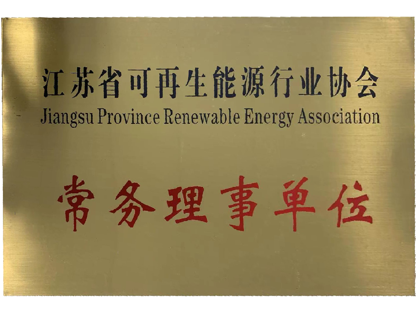 Council Member of Jiangsu Renewable Energy Association