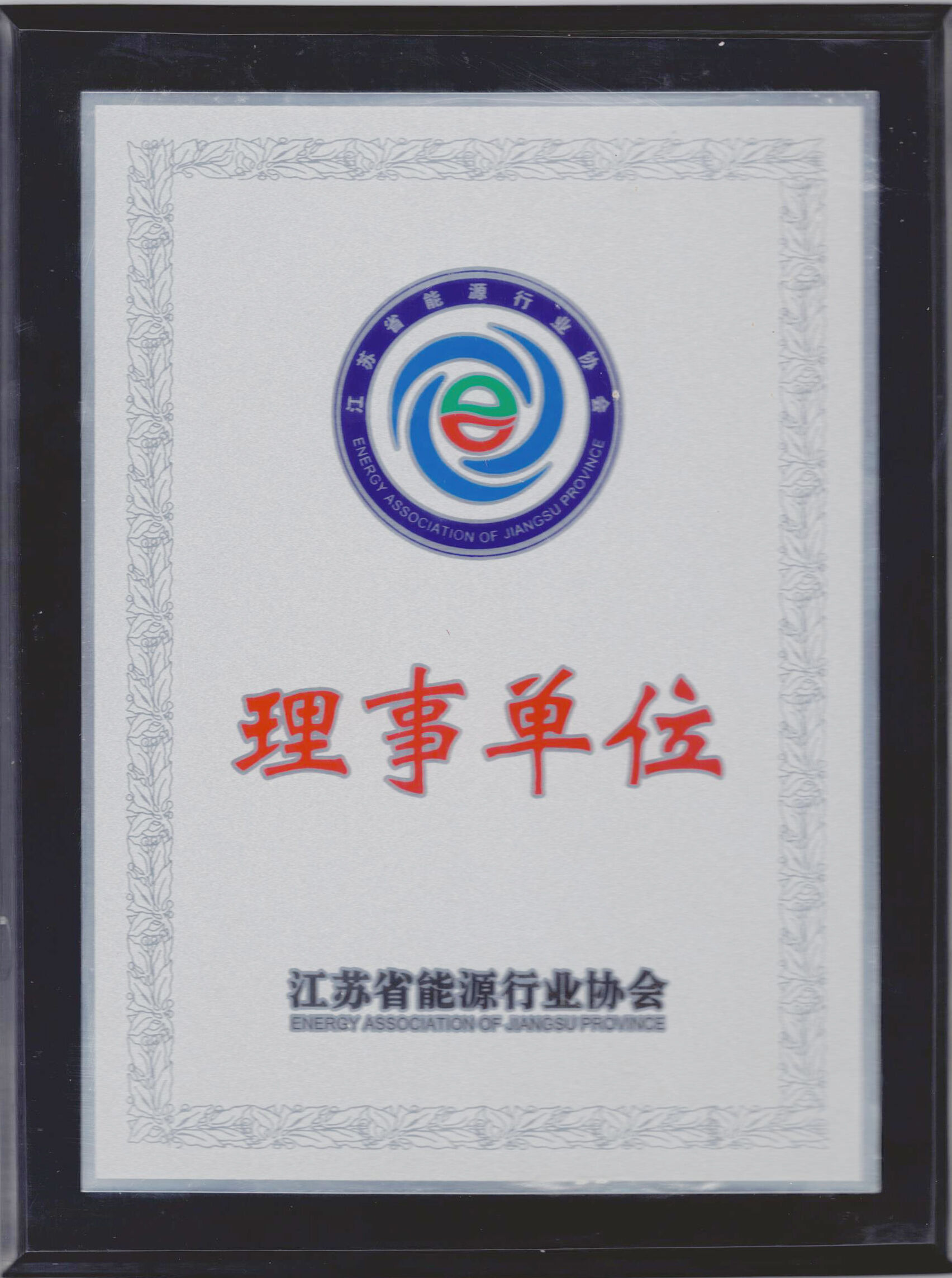 Standing Council Member of Jiangsu Renewable Energy Industry Association